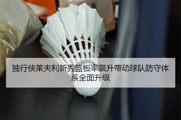 独行侠莱夫利新秀篮板率飙升带动球队防守体系全面升级